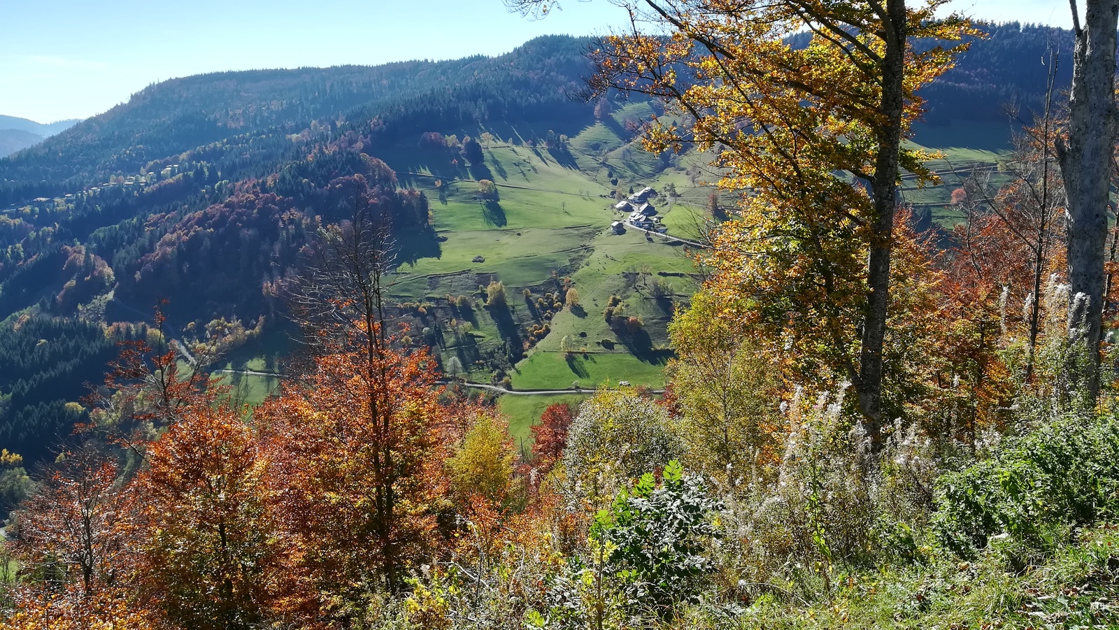 Journey through the Black Forest, part two - My, Germany, Travels, Black Forest, Autumn, Vacation, The photo, Longpost