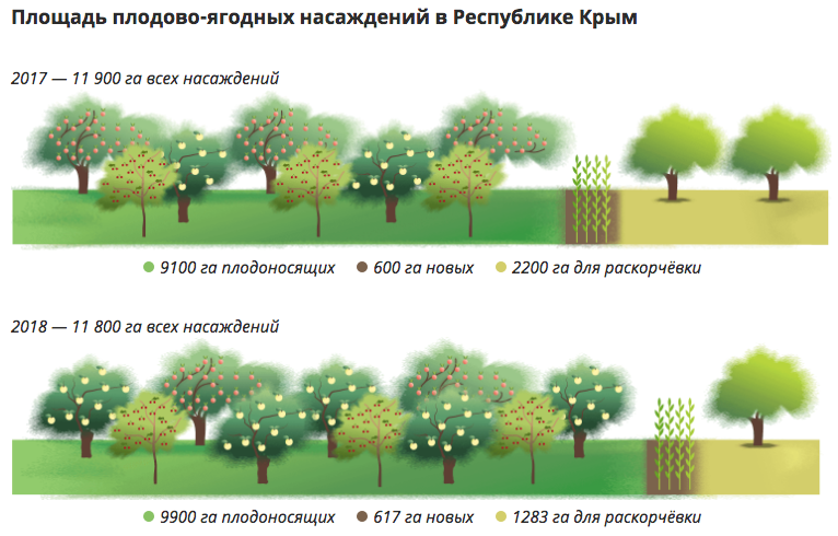 Крым пять лет спустя (инфографика РИА Новости) - Крым наш, Крымский мост, Вино, Туризм, Керченский пролив, Трасса Таврида, Трасса Таврида Симферополь, Инфографика, Длиннопост