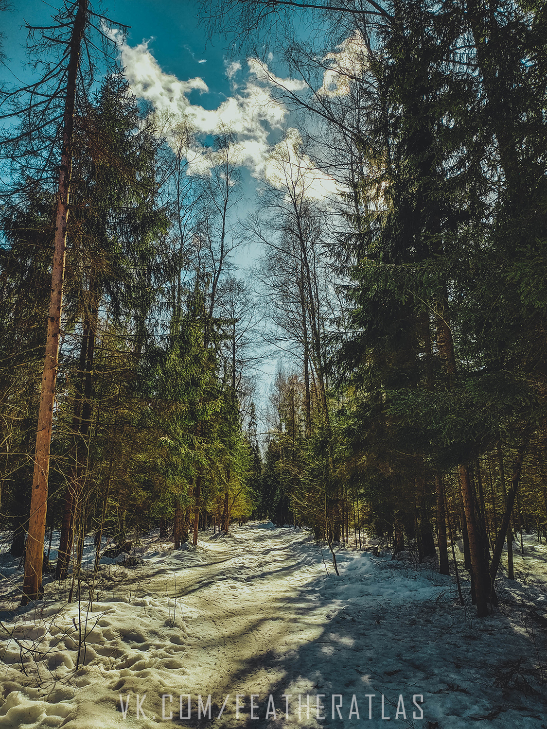 Leaving winter - My, Featheratlas, Nature, The photo, Forest, Spring, Longpost