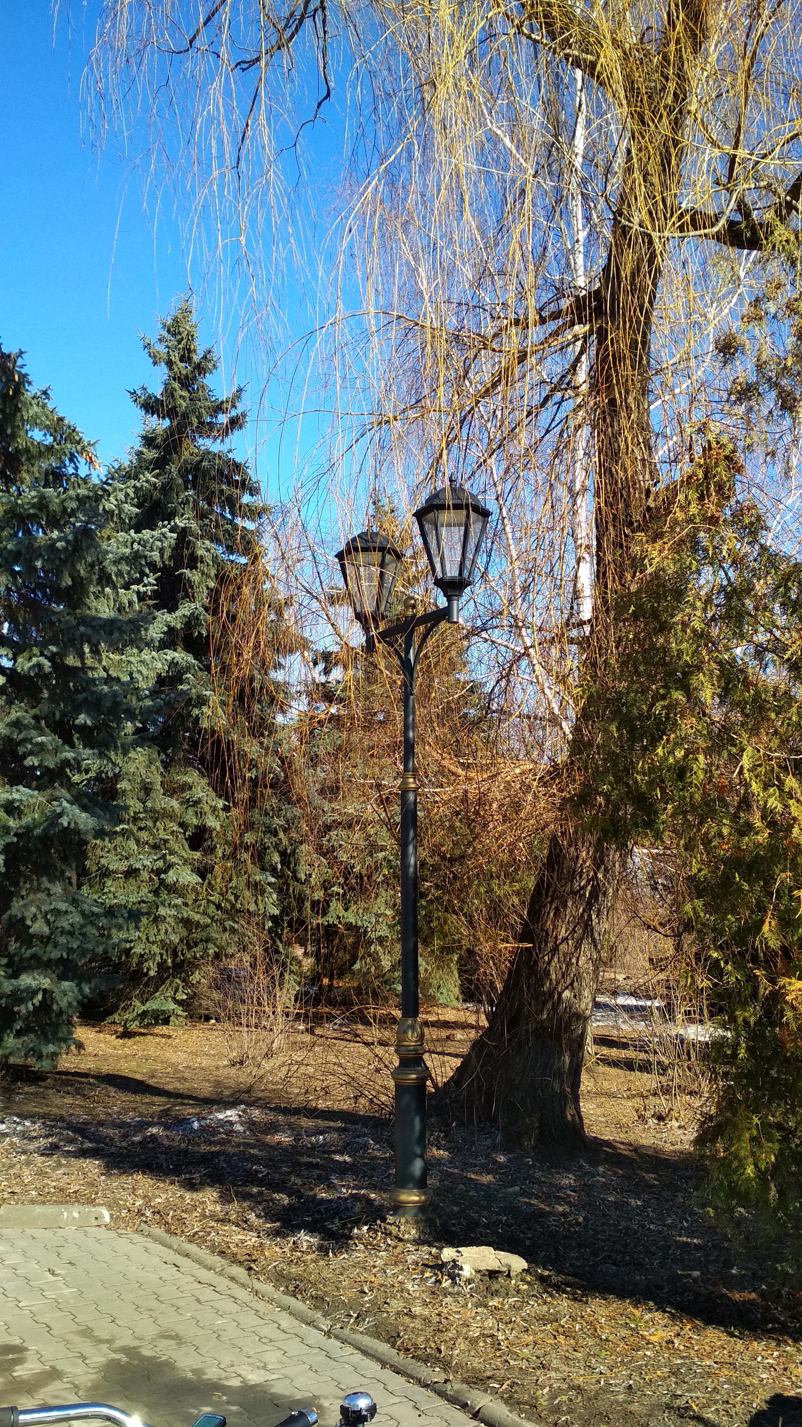 Opening the bike season is more pleasant in such weather - My, Lipetsk, , A bike, Spring, Cruiser, Longpost