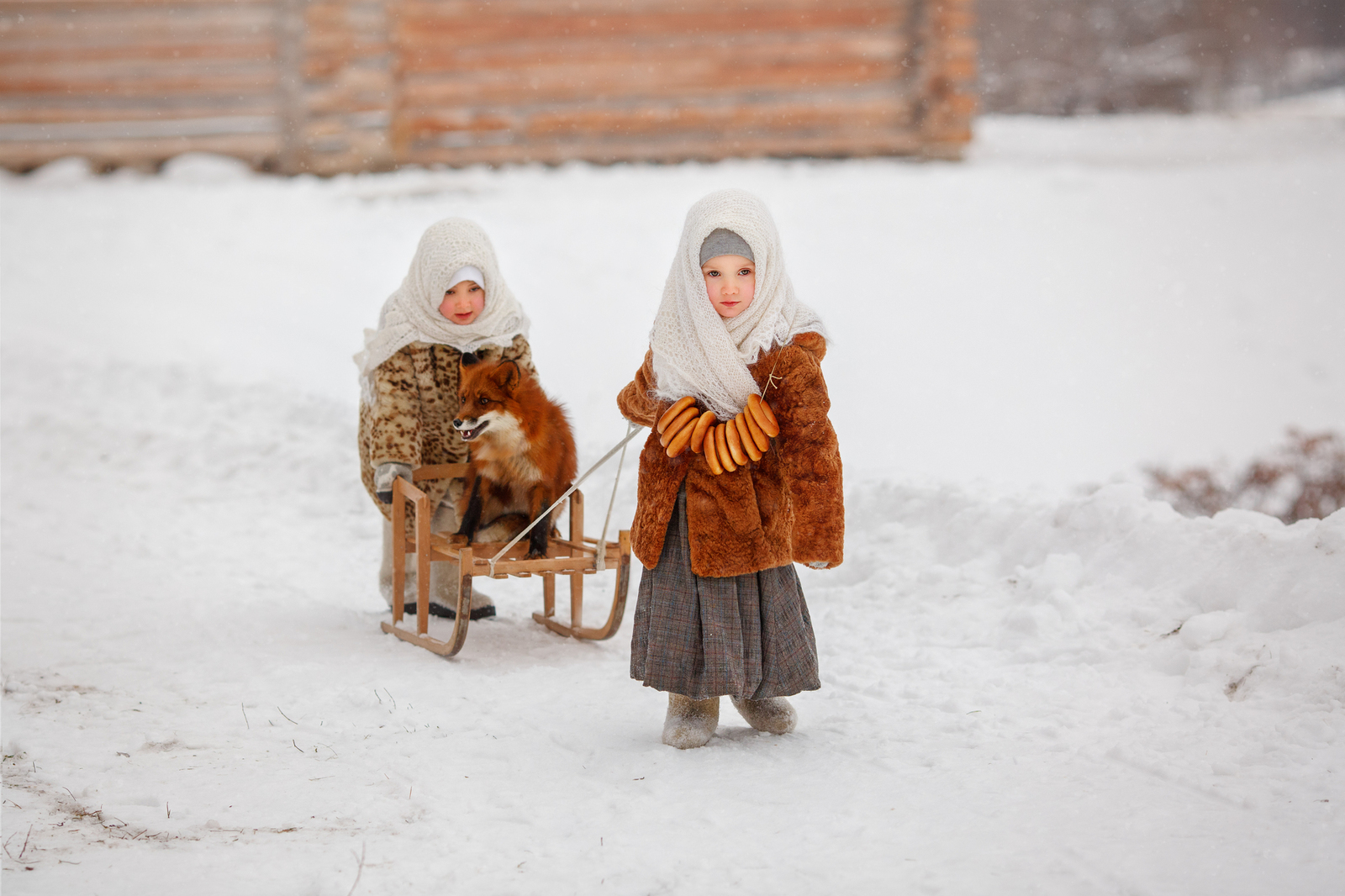 All in coats! - Fox, Winter, Children, PHOTOSESSION, Longpost