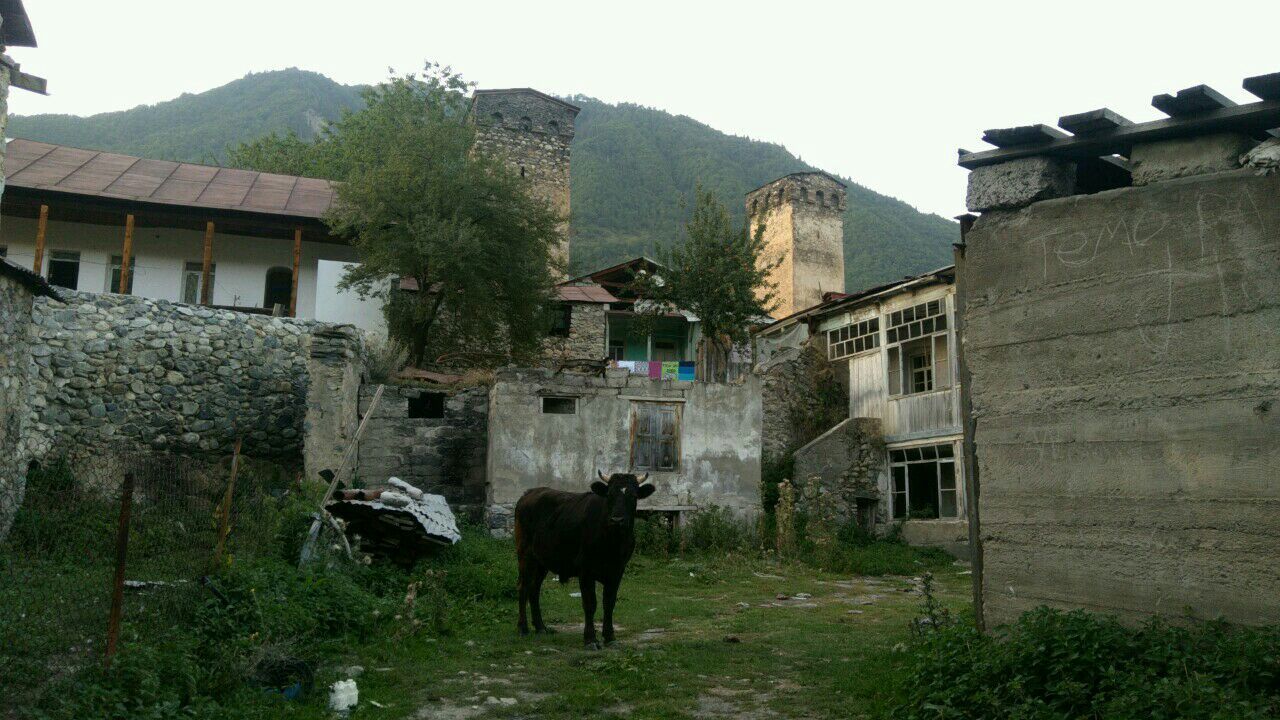 Galloping through ... Georgia. Part 6: Svaneti. Summer. - My, Georgia, , Svaneti, Travels, Video, Longpost