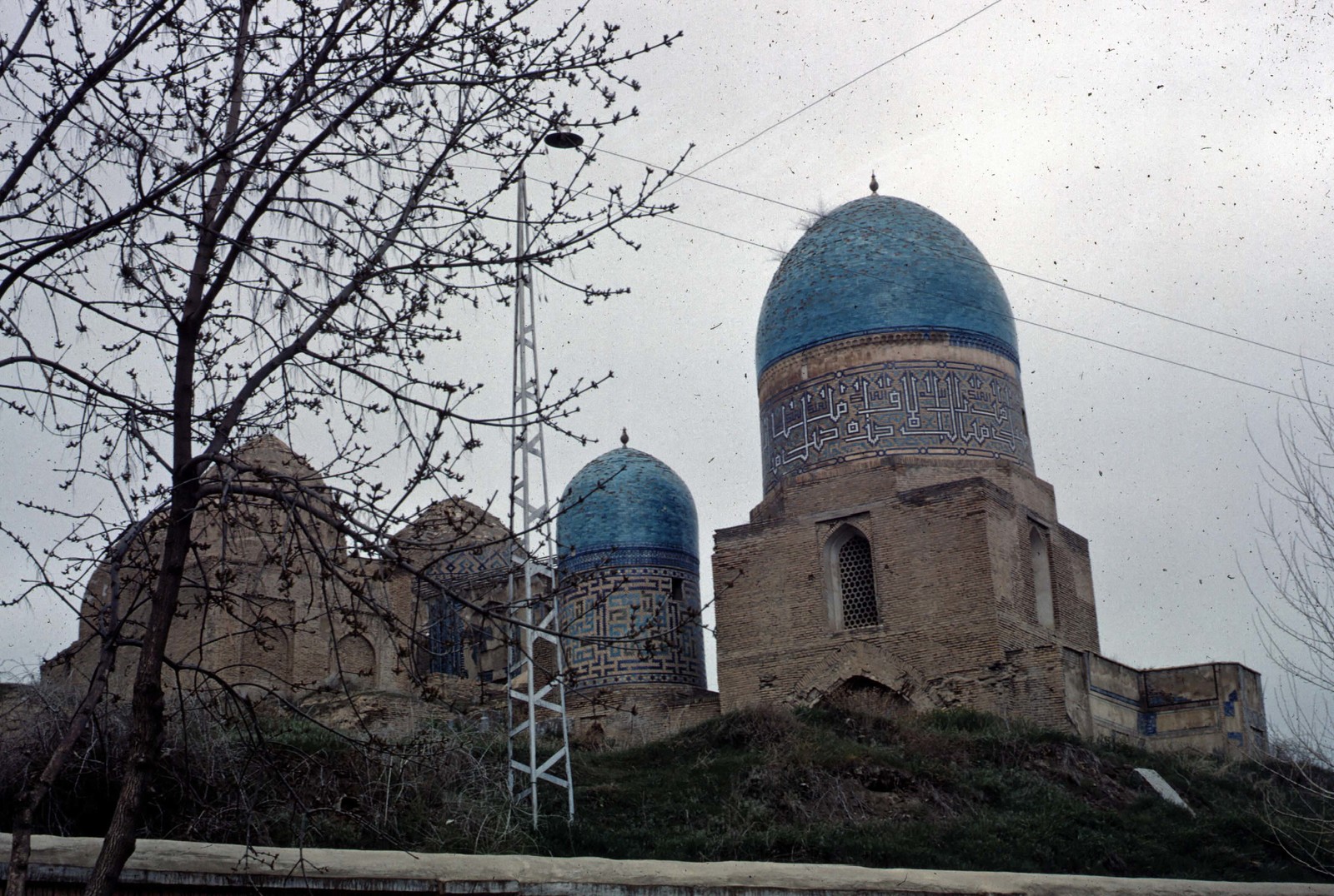 Американец Френсис В СССР. Самарканд 1965 год. | Пикабу