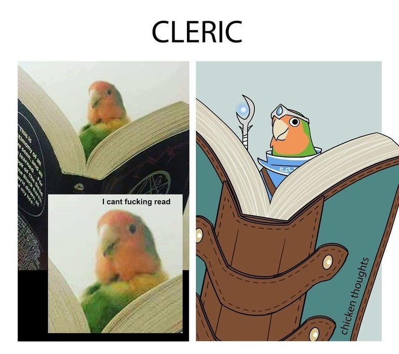 And what is your class? - A parrot, Class, Longpost, Pets, Dungeons & dragons