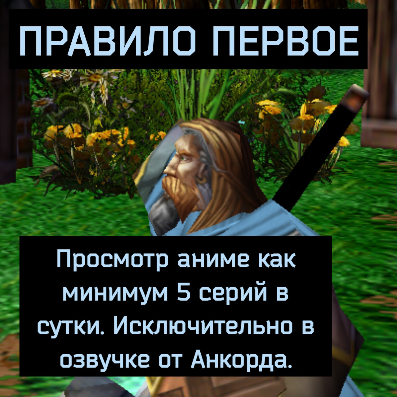 В паладины не берут кого попало! | Пикабу