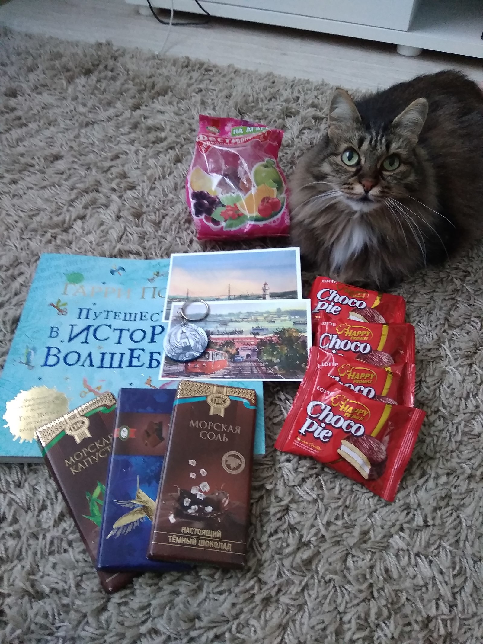 From Vladivostok to Kaliningrad - My, Gift exchange, cat, Magic, Longpost, Fasting April 1, 2019