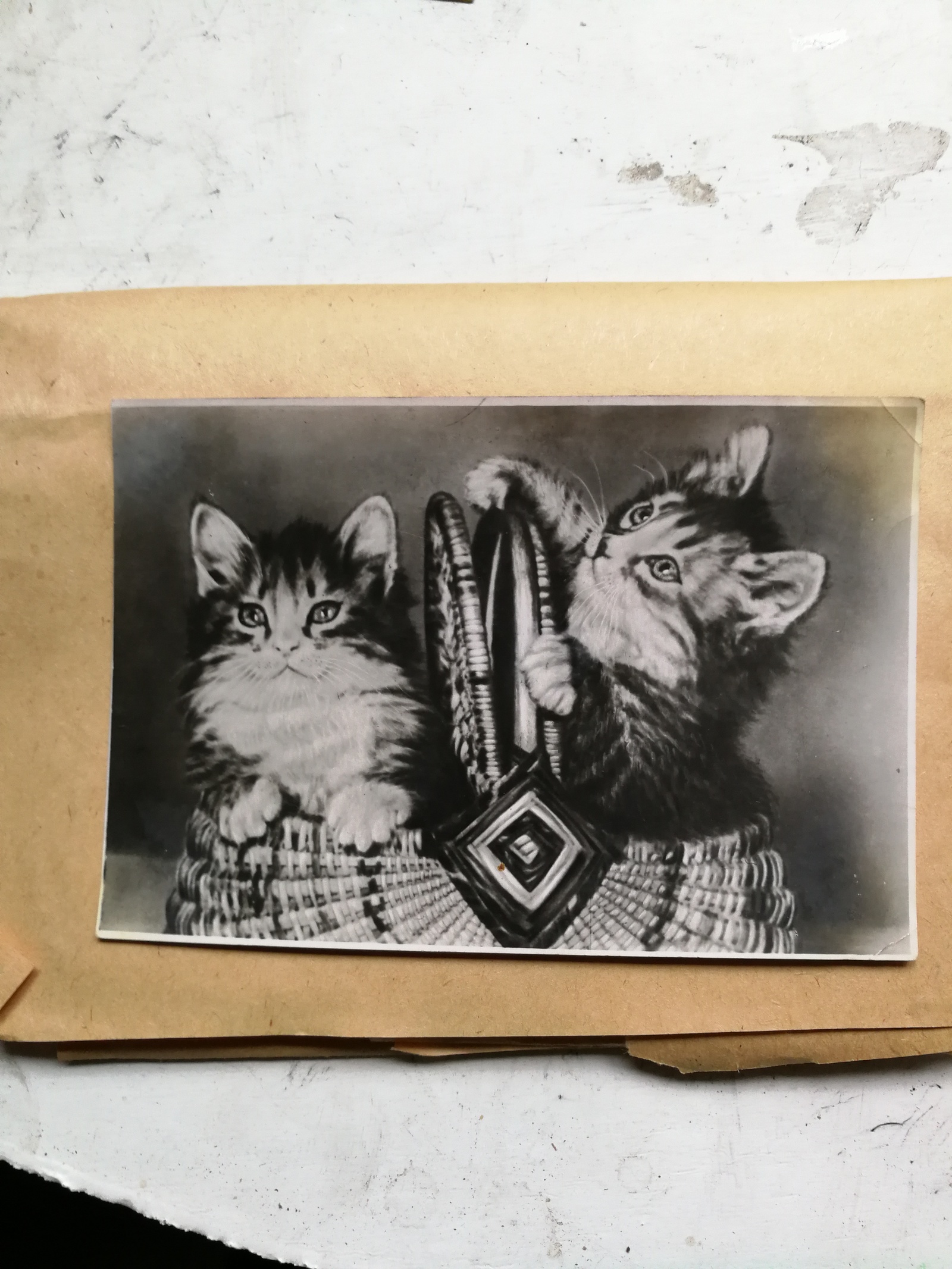 Postcards of the USSR - My, Postcard, the USSR, Longpost, Kittens