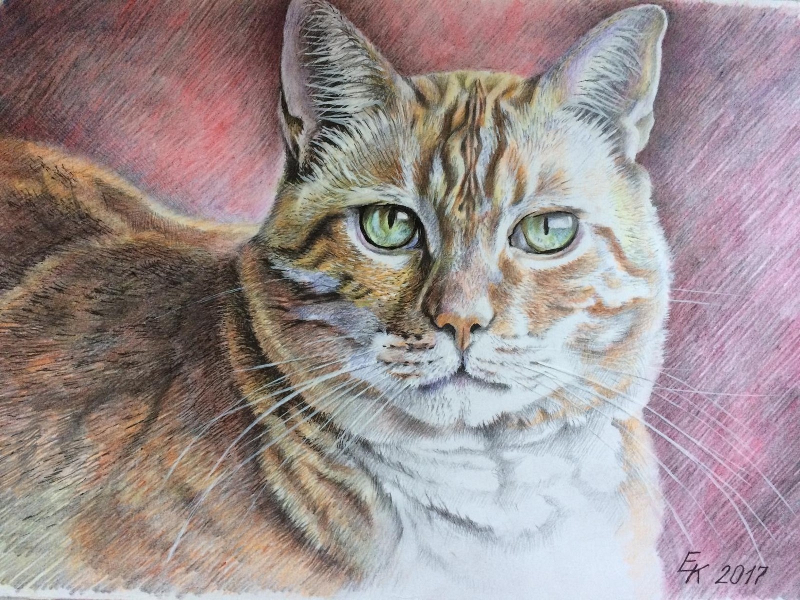 Portraits of cats. Part 2. - My, Portrait, cat, Drawing, Colour pencils, Longpost