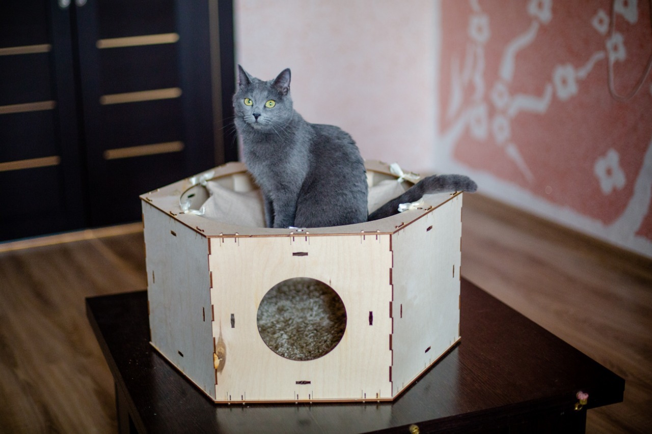 Chronicles of Kotovichi 5 - My, , cat, cat house, , Russian production, Woodworking, Kazan, Longpost