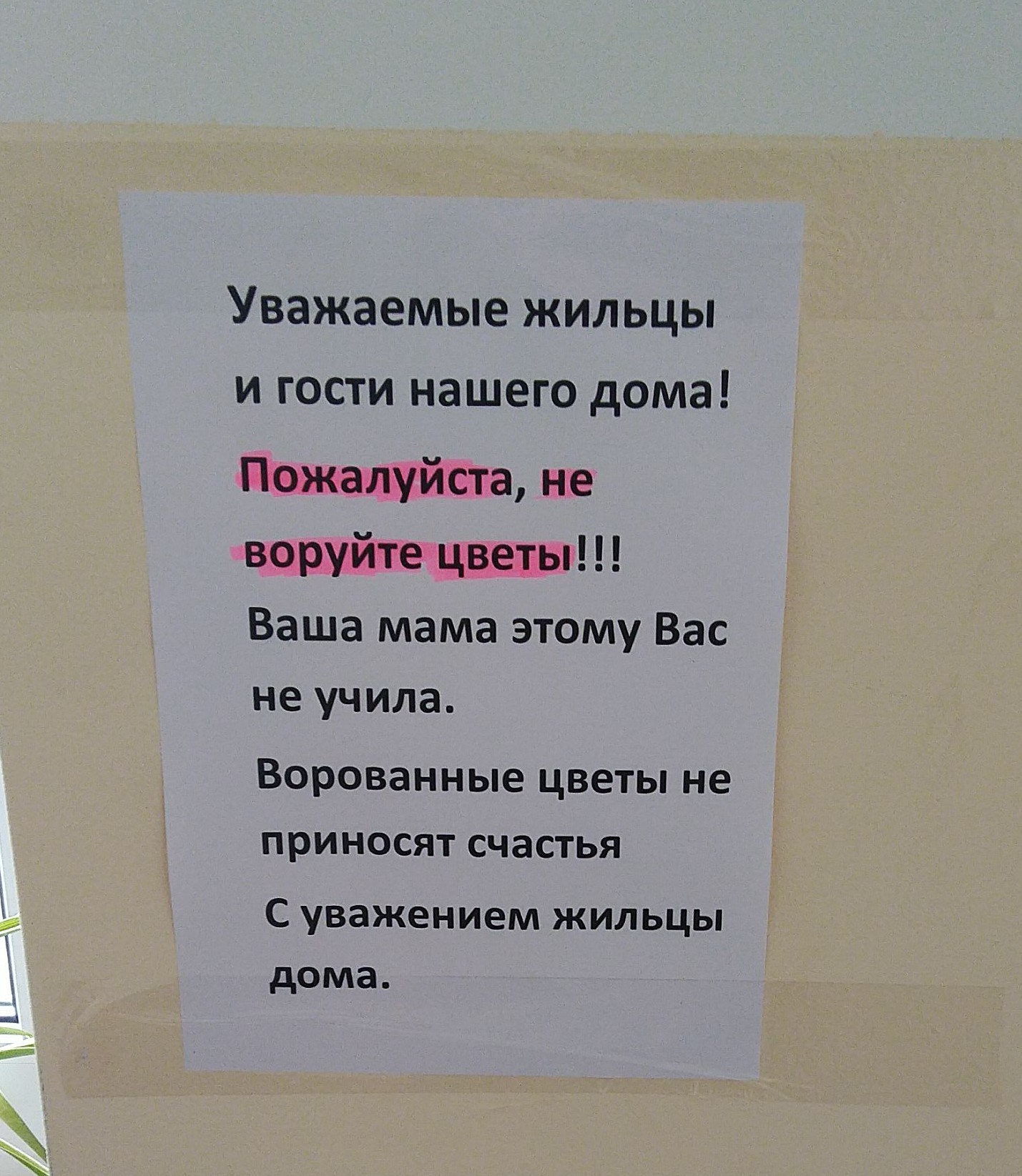 Уважаемый дом. Уважаемые жильцы и гости нашего дома. Воруют цветы в подъезде объявление. Уважаемые жильцы и гости нашего подъезда. Объявление для воров в подъезде.