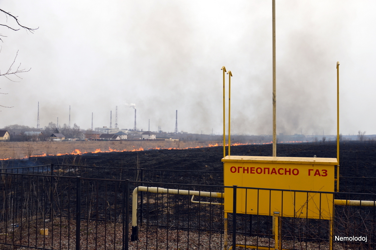 Herbal fires. Season in full swing - My, Fallen Grass, Voskresensk, Beginning photographer, Actual, Longpost