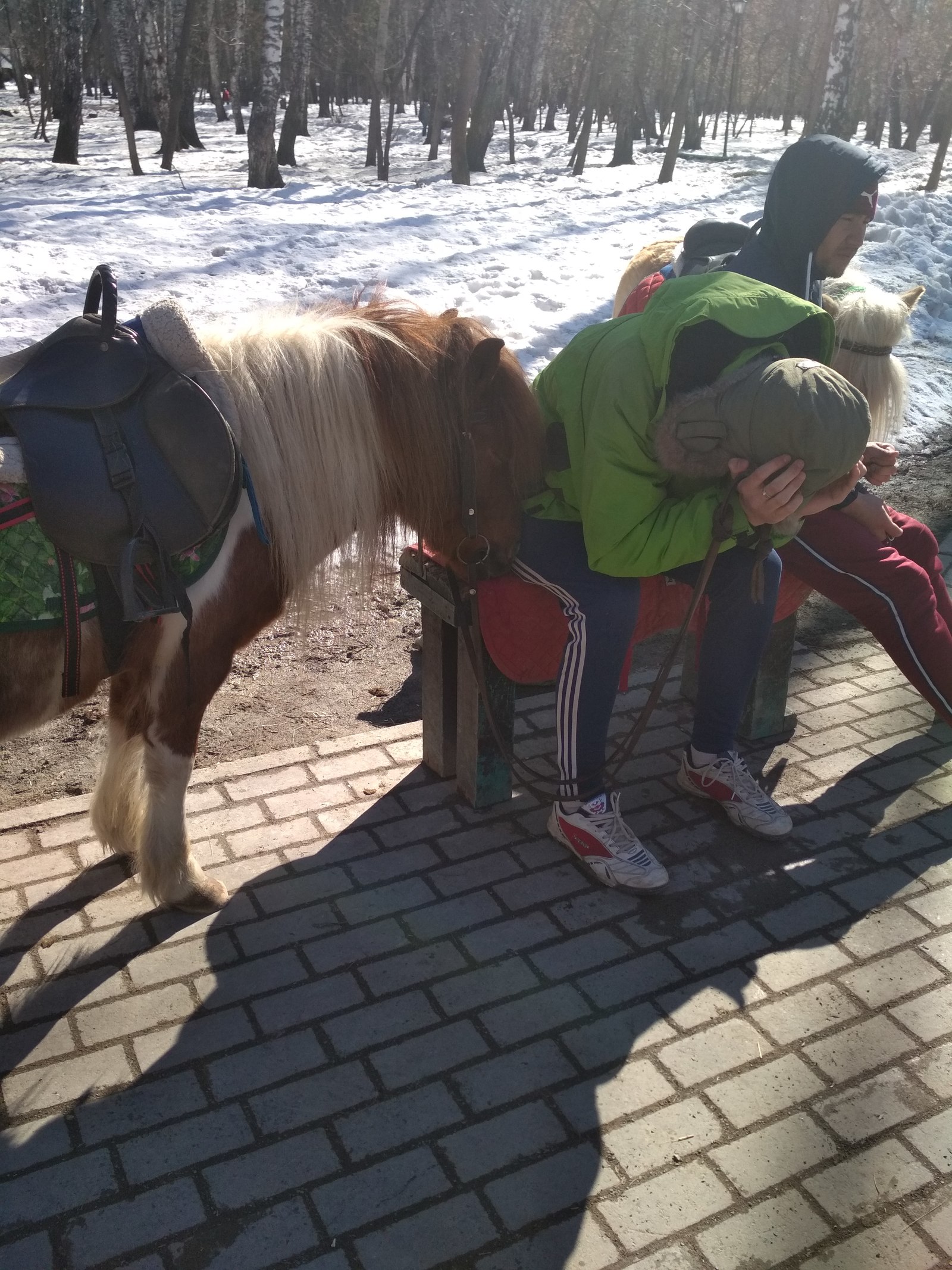 I won't ride. - My, , Horses, Attraction, Hangover