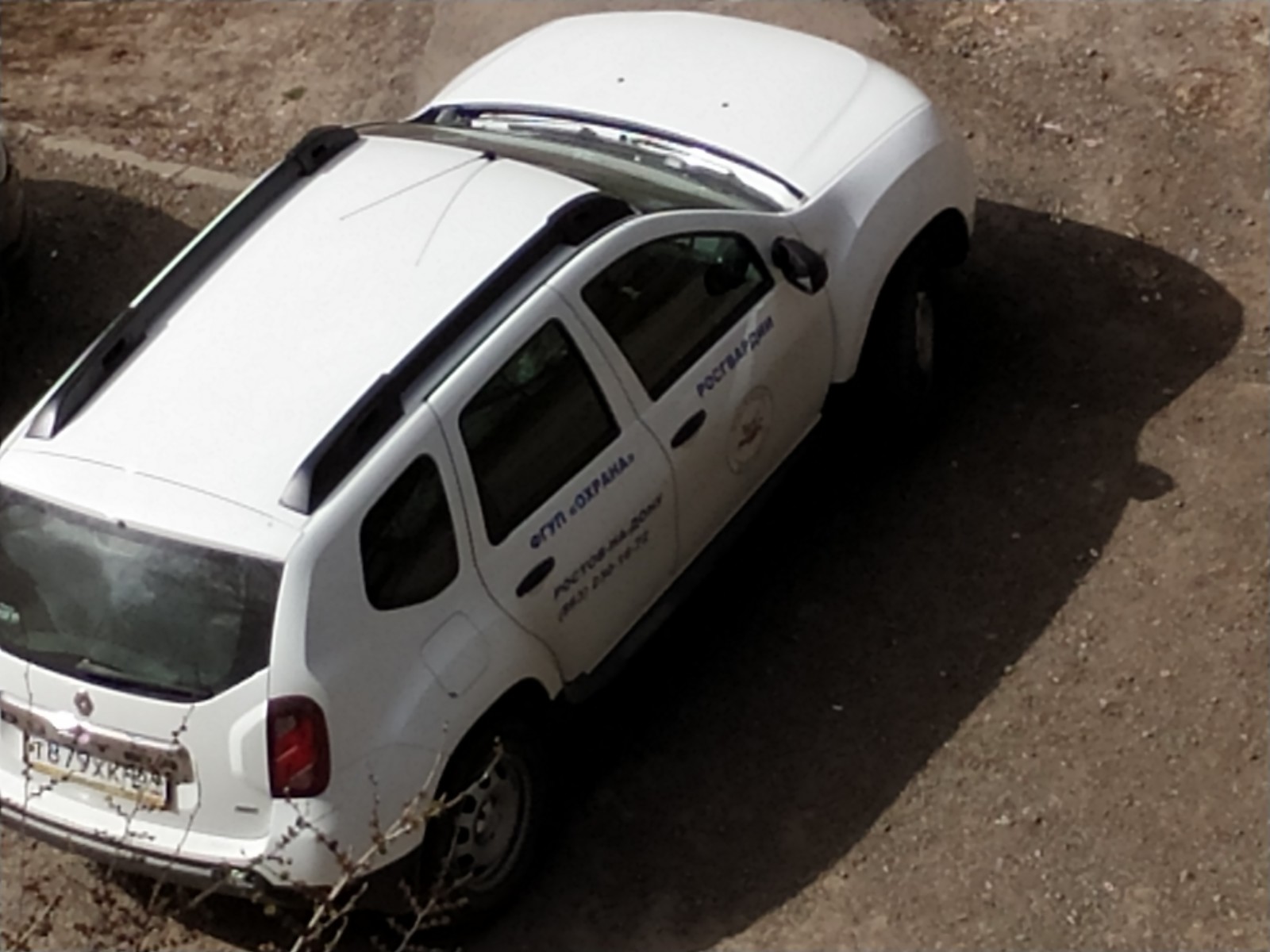 I am my mother's protector - My, Rostov-on-Don, Rosgvardia, Cattle, The driver