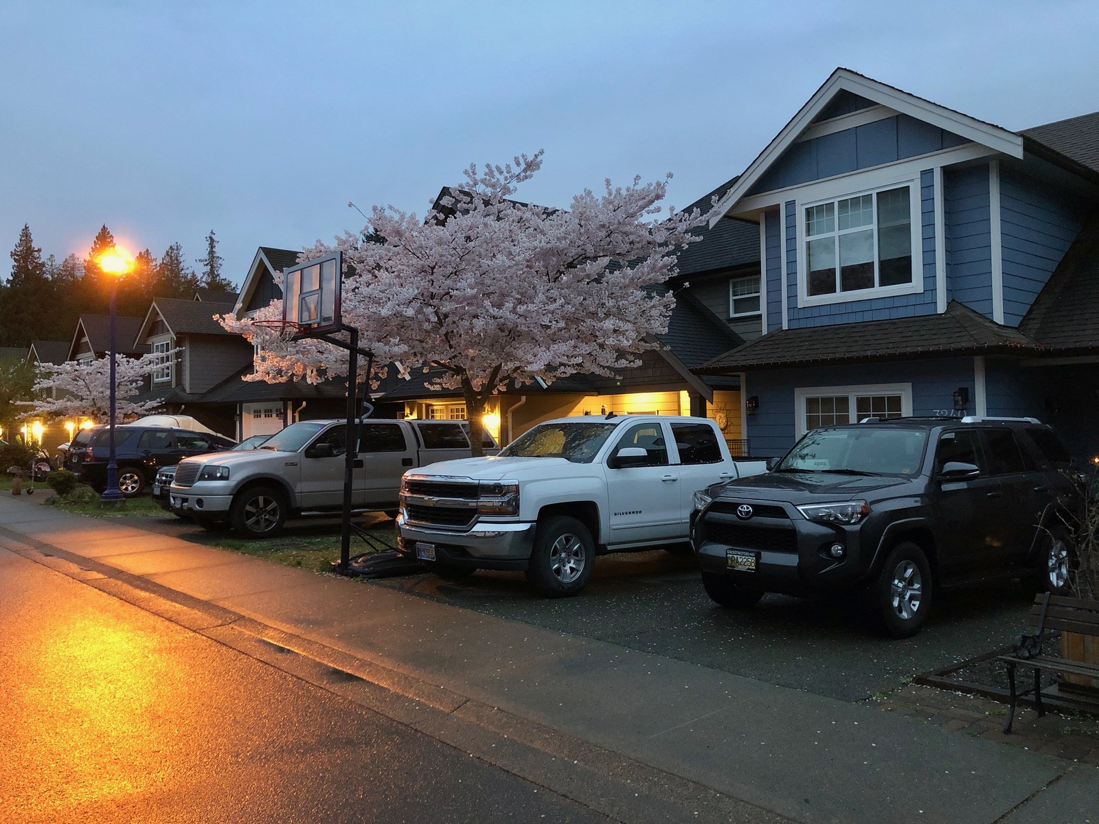 Evening walk after the rain - My, Canada, House, Road, Town, Spring, Evening, Lamp, The street, Longpost