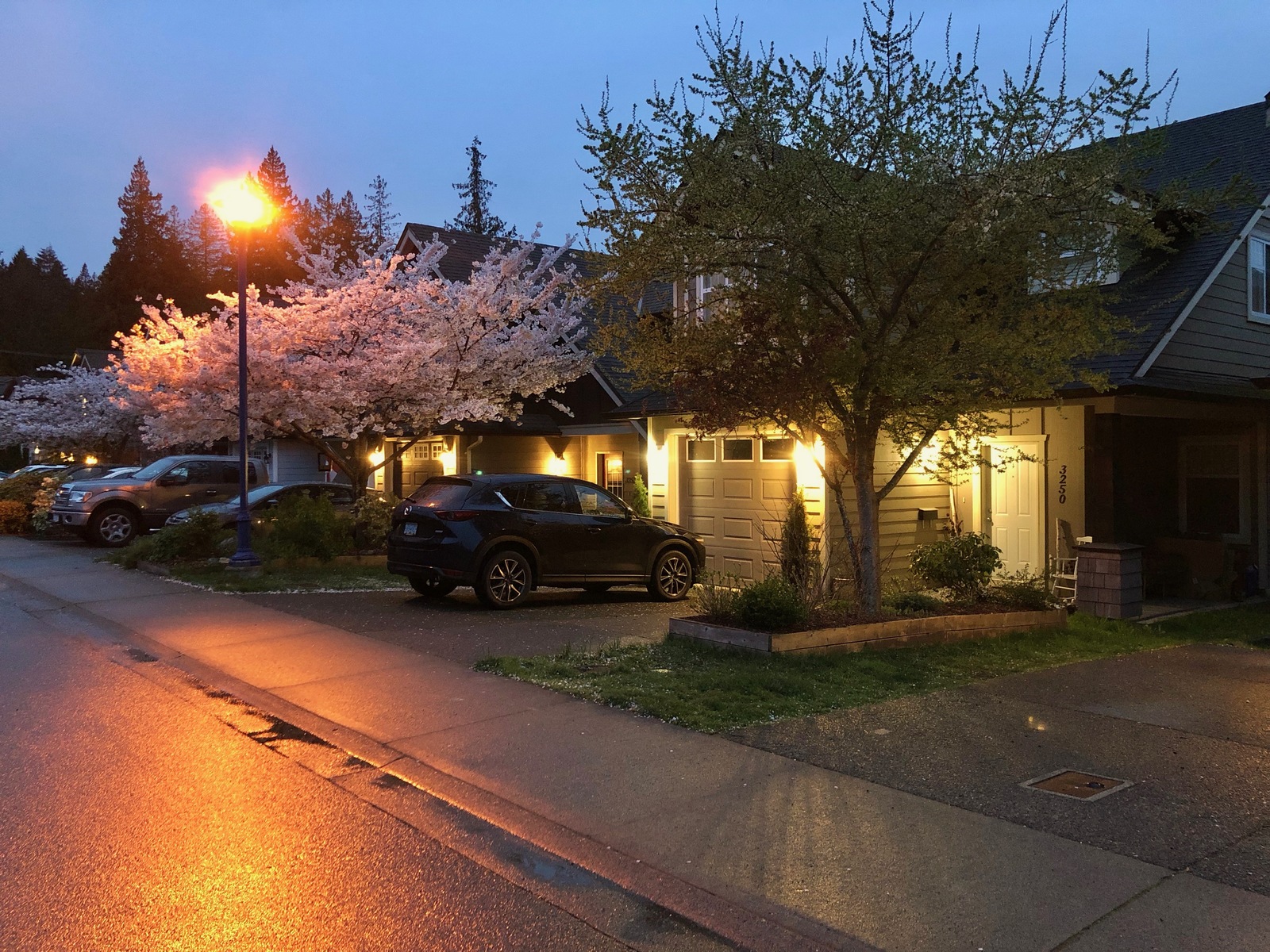 Evening walk after the rain - My, Canada, House, Road, Town, Spring, Evening, Lamp, The street, Longpost