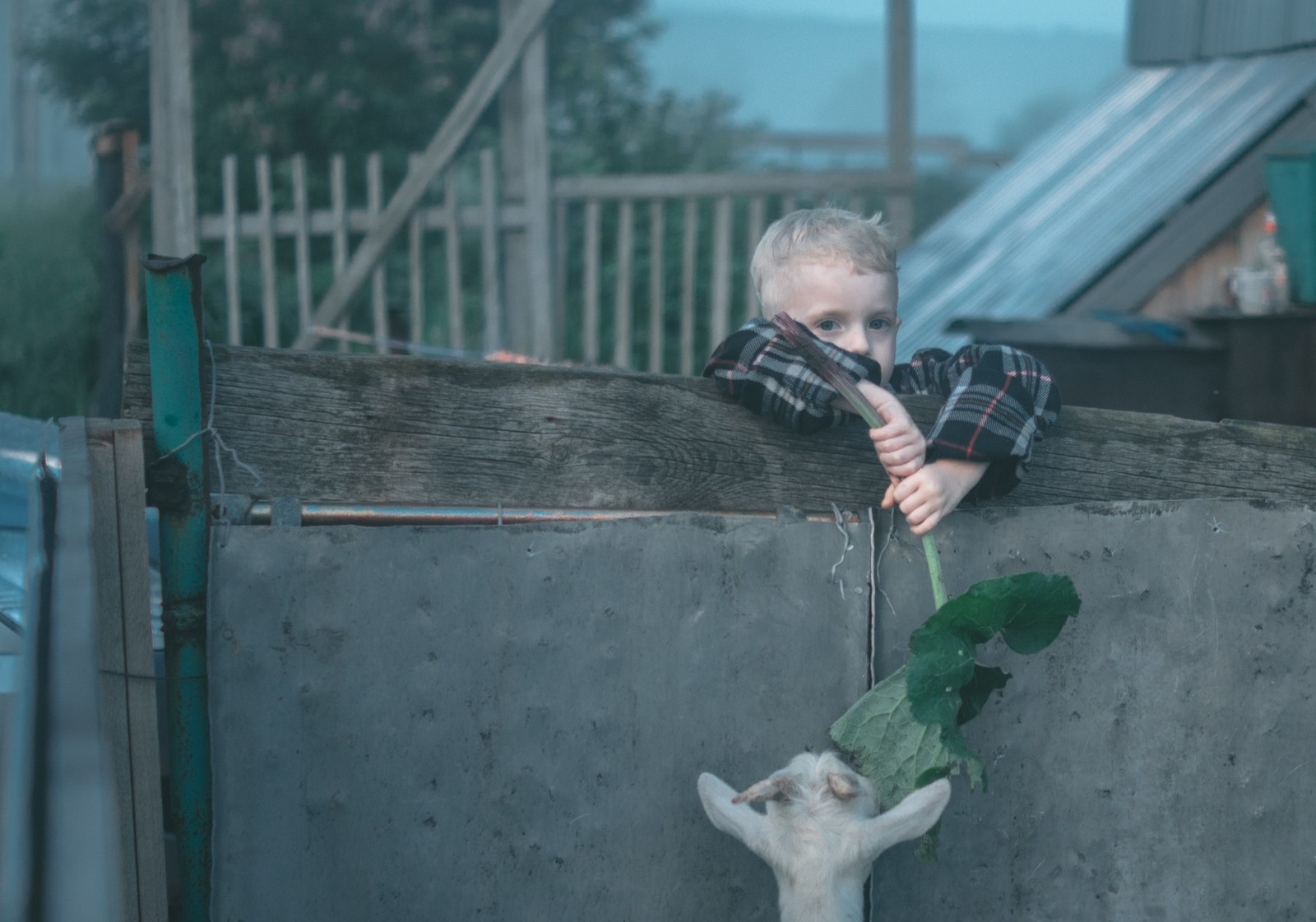 Родина - Моё, Начинающий фотограф, Деревня, Фотография, Длиннопост