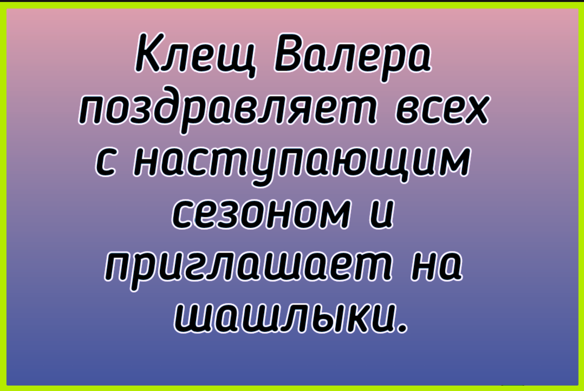 Клещи и борьба с ними - Моё, Клещ, Энцефалит, Горы, Поход, Лес, Клещевой боррелиоз