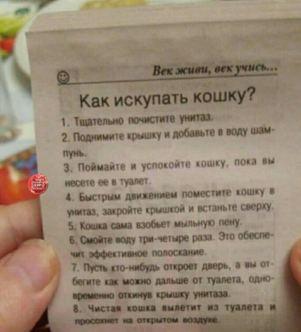 Анекдот: Как искупать кошку 1. Тщательно почистите унитаз. 2. Поднимите крышку и добавьте