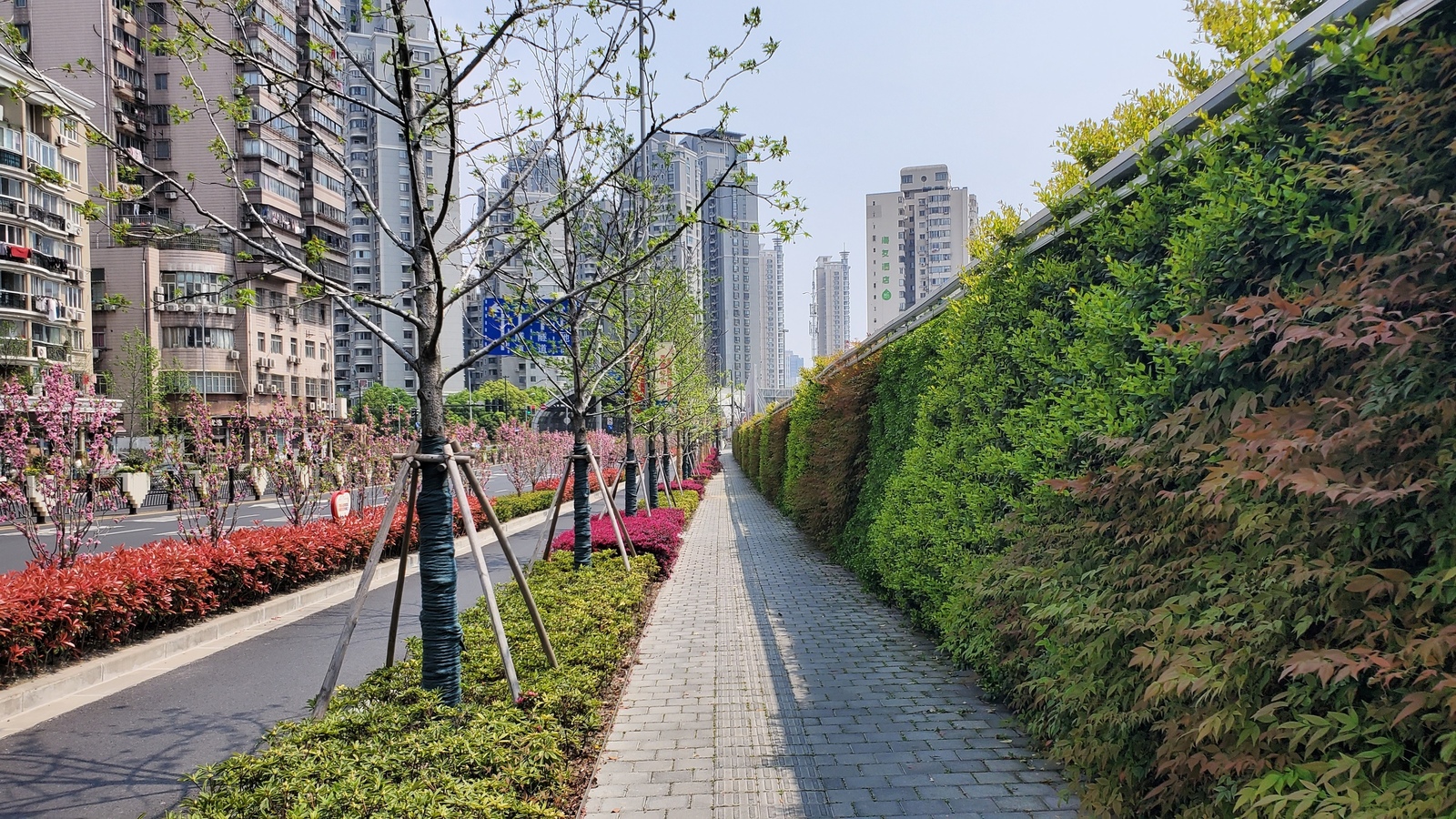 One of the streets in Shanghai today - My, China, Shanghai, The street, Spring, beauty