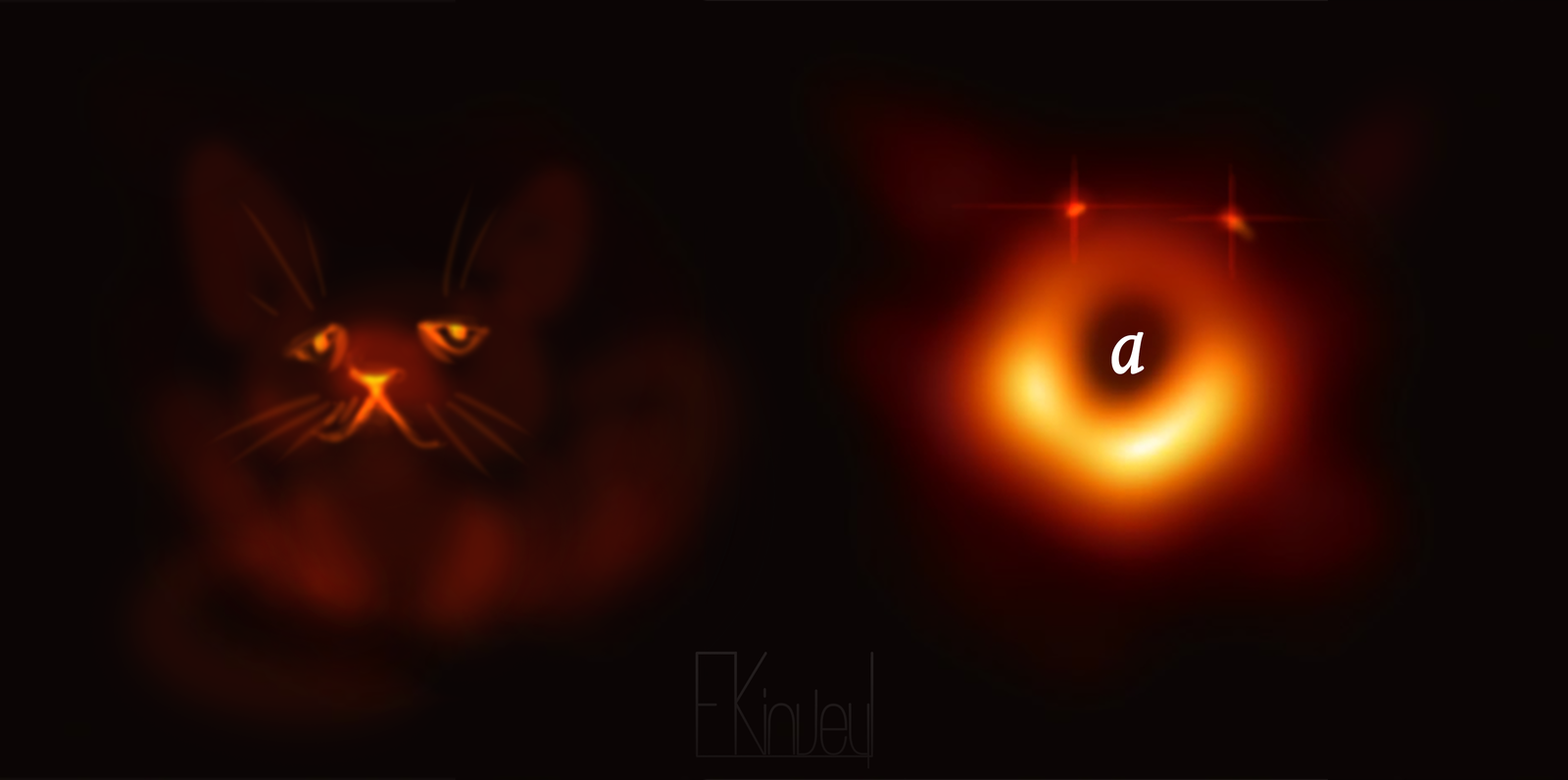 What is it really - Black hole, cat, Memes, Aaa