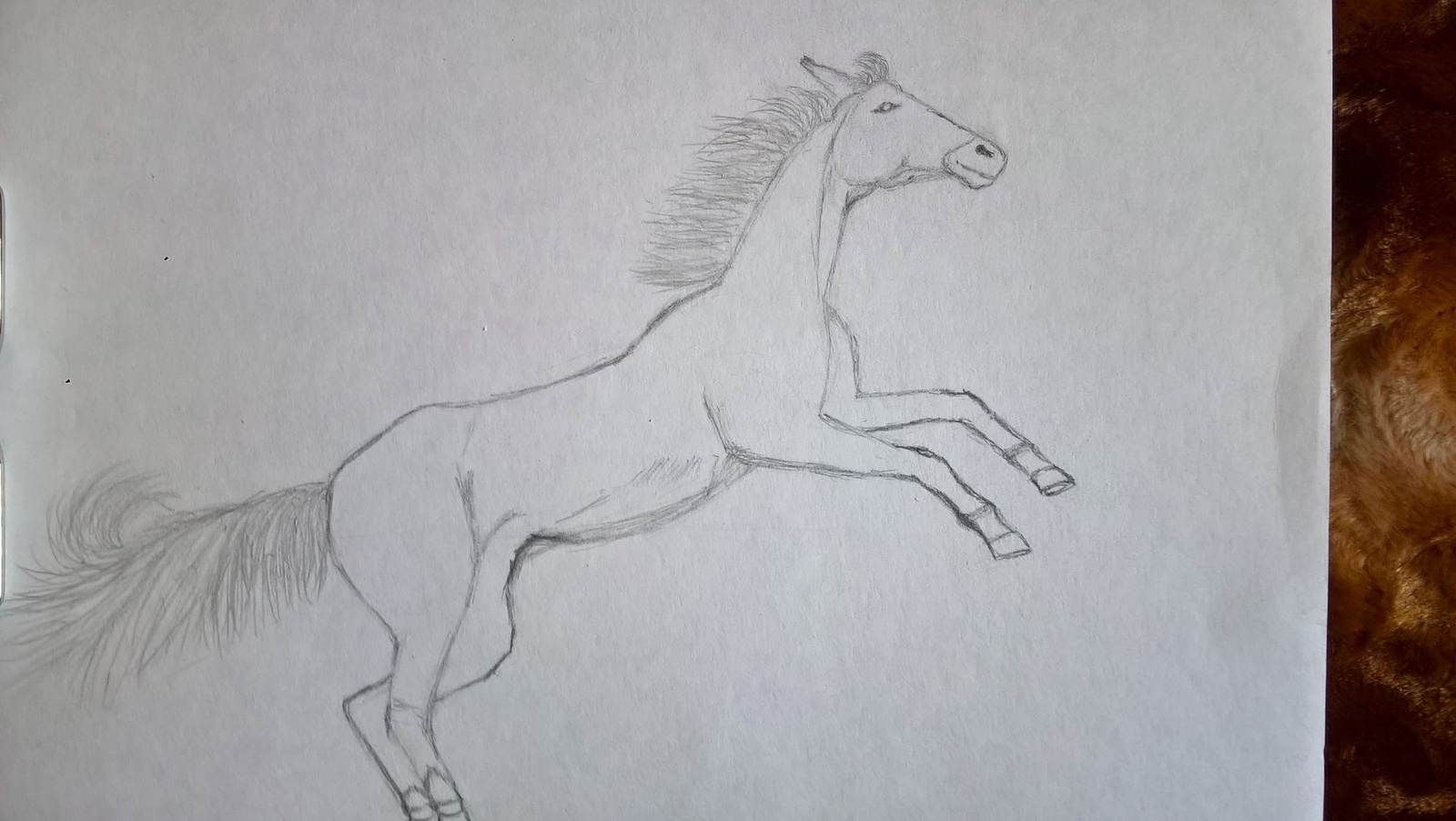 Рисунок лошади карандашом легкий и красивый