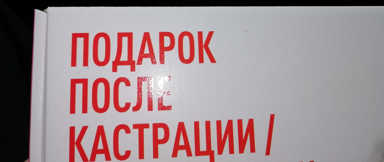 Страшные подарочки... - Моё, Подарки, Домашние животные