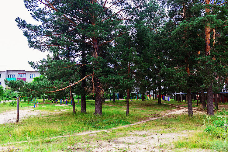 Bicycle tour of Mari-Chuvashia. - My, Travels, Bike trip, Travel across Russia, The photo, Mari El, Volzhsk, Zelenodolsk, Longpost