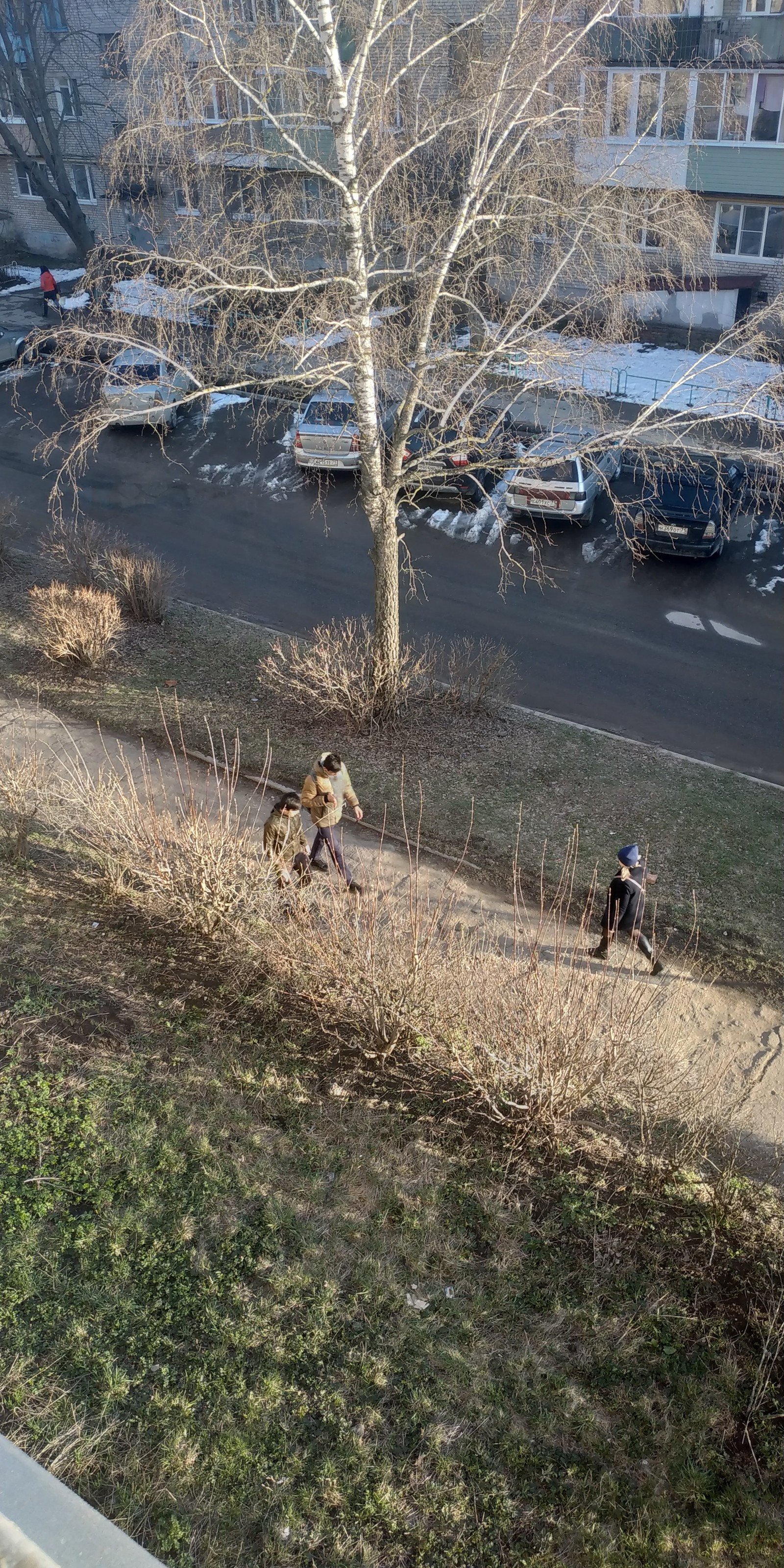 Nature surprises. The place of action is the Tula region. There was no snow at all for 2 weeks before that. - My, Natural disasters, Spring, Longpost