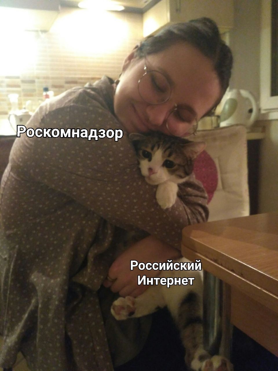 The State Duma adopted in the 3rd reading a bill on isolation of the Internet - Roskomnadzor, Internet, Memes, Sadness, cat, Girls, Animals