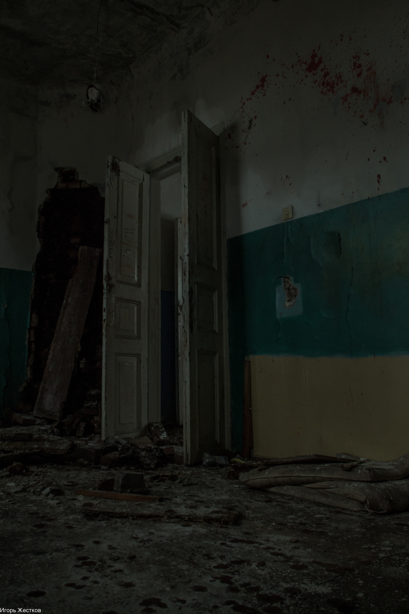 Abandoned estate Karganov-Ertel Ertelevo - My, Urbanfact, Pioneer camp, Longpost, Stalker, The photo, Photographer
