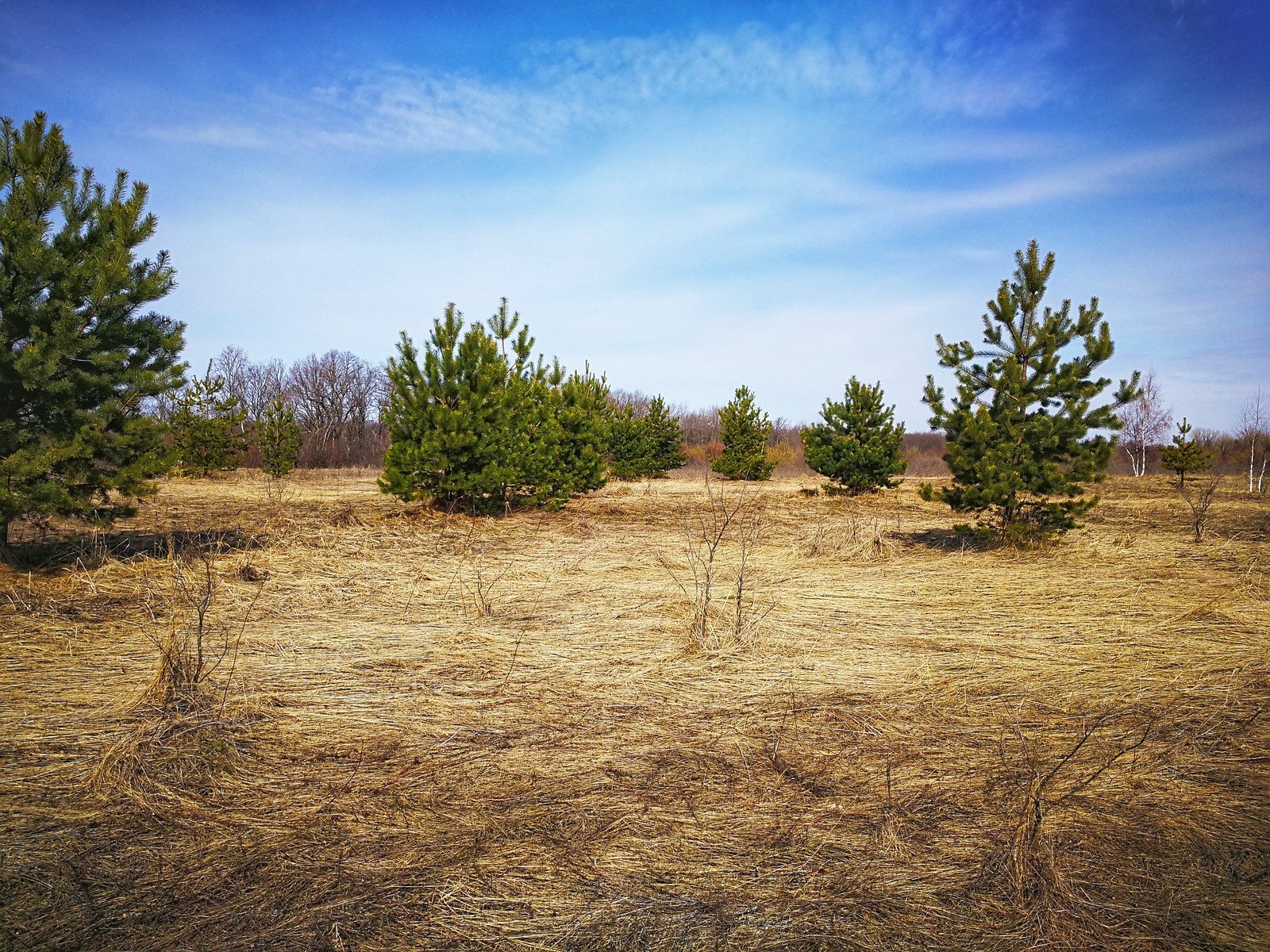 photo ride - My, Dzerzhinsk, Mobile photography, The photo, Video, Longpost, Huawei mate 9, A bike