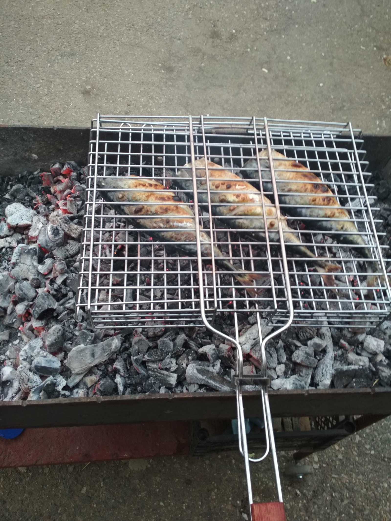 fried mackerel - My, Cooking, A fish, Shashlik, Mackerel, Yummy, Longpost