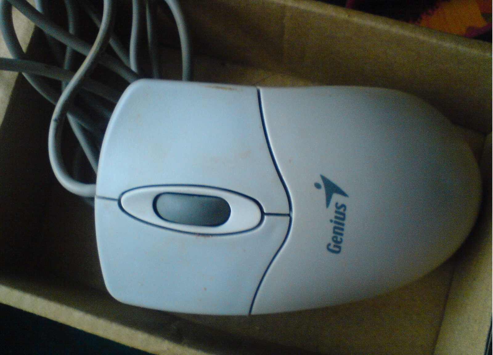 Found an old mouse in the closet - My, Mouse, Old school, Images, The photo, 2000s