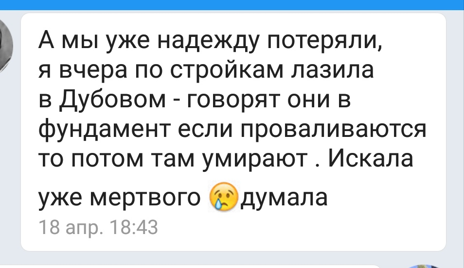 Немного доброты в ленту. - Моё, Кот, Доброта, Помощь, Без рейтинга, Длиннопост, Помощь животным