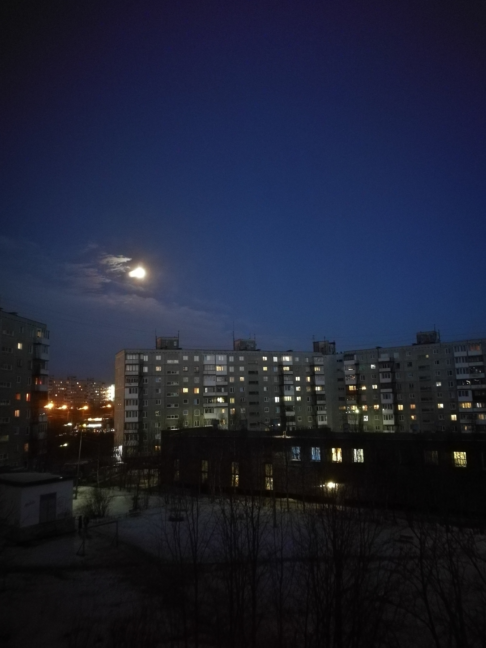 Midnight in the Far North. - Full moon, Night, beauty, cat