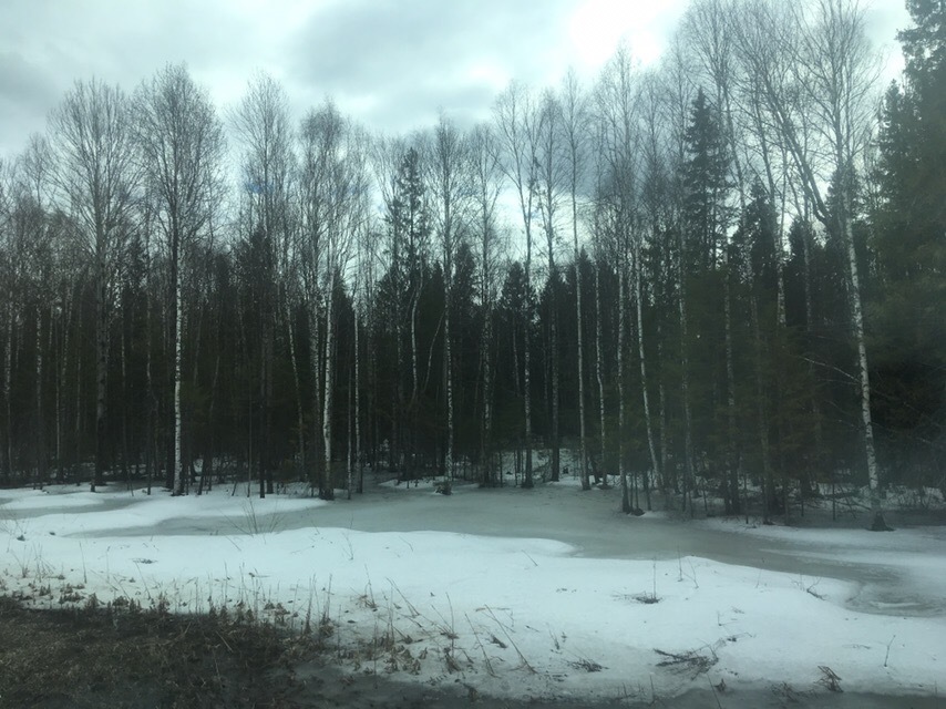 Winter has already ended a month and a half ago - My, Forest, River, Snow, Spring, Russia