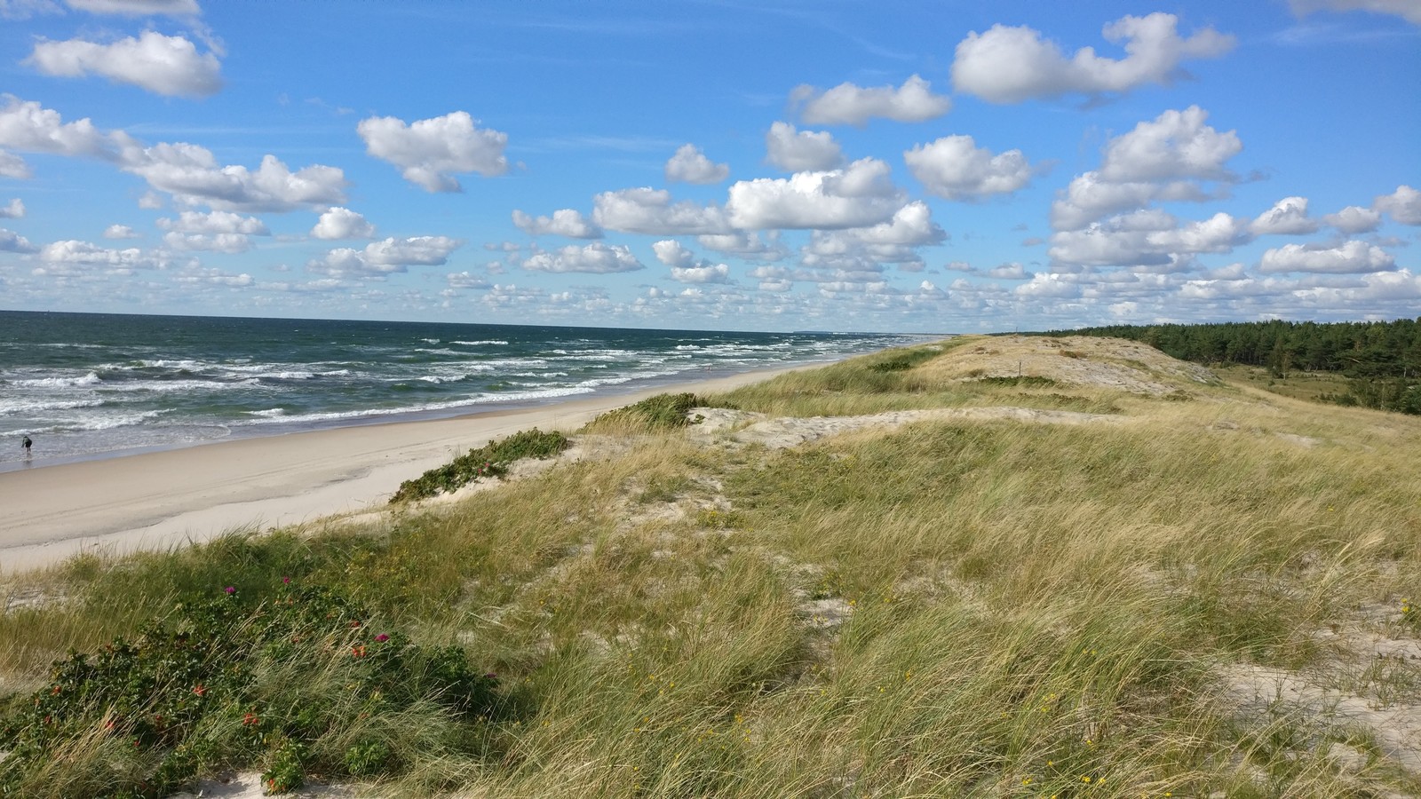 Piece of summer - My, Sea, Summer, Curonian Spit, Lithuania