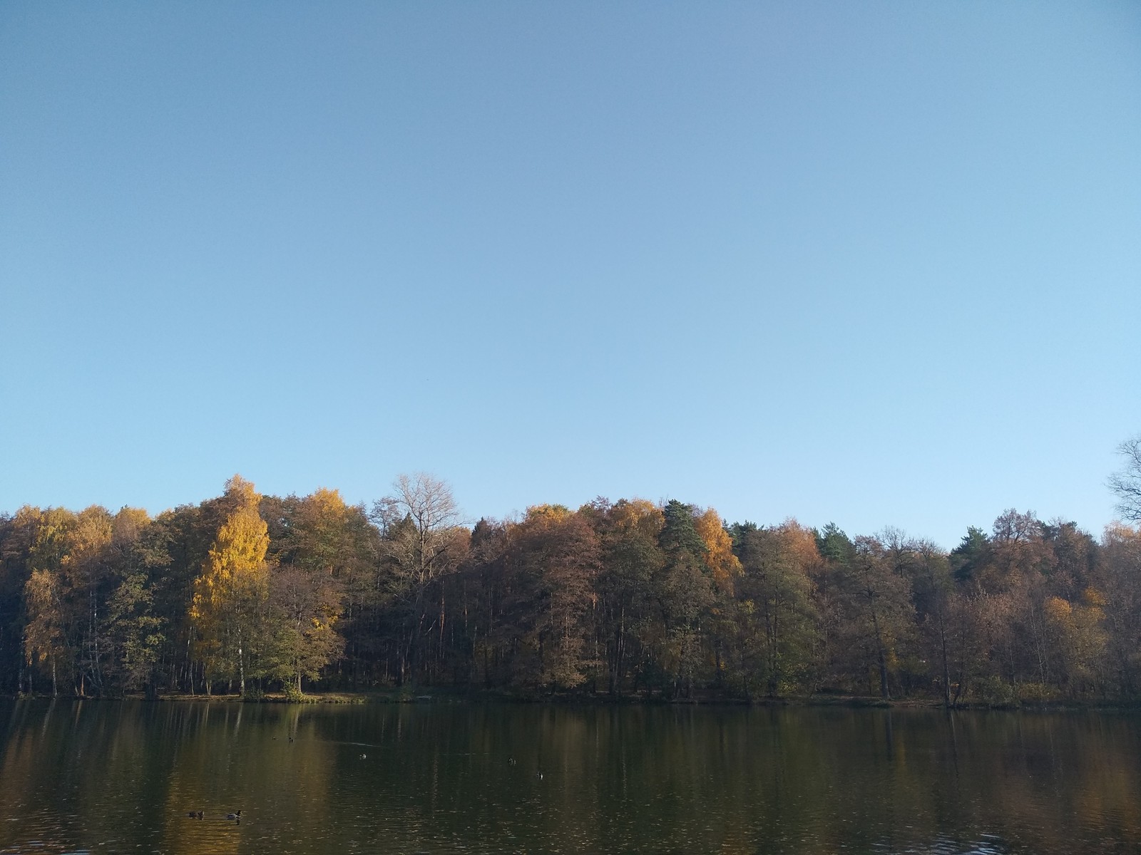 Moscow suburbs - My, Rest, Leaf fall, Peace, Xiaomi, Balashikha, Longpost, Nature, Calmness