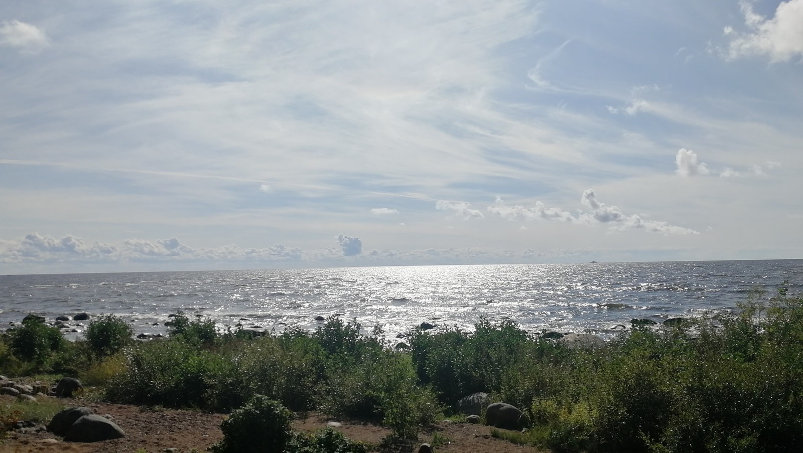 Leningrad region - My, Nature, Water, Shore