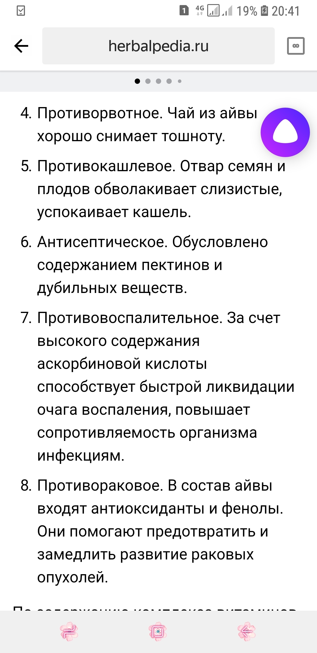 Японская айва - Моё, Японская айва, Кустарник, Весна, Оранжевые цветы, Длиннопост