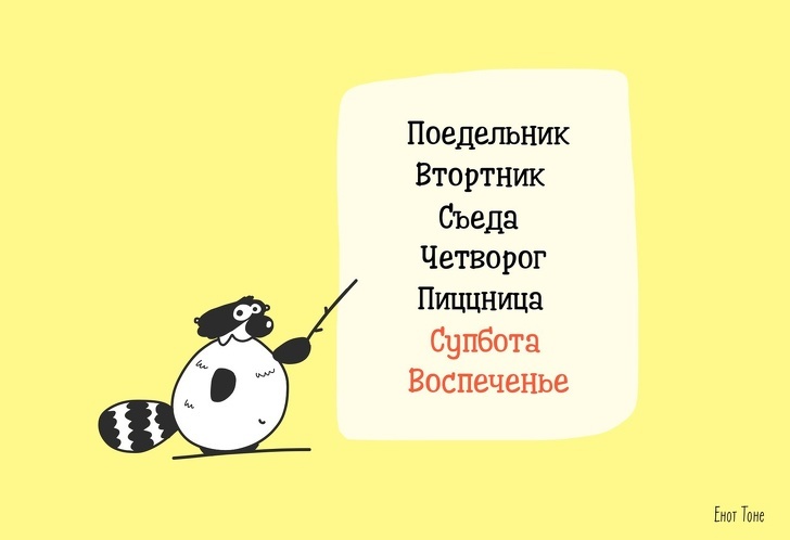 Пара из Петербурга рисует комиксы о ленивом еноте, который чем-то похож на каждого из нас - Адмеру, Картинка с текстом, Юмор, Длиннопост