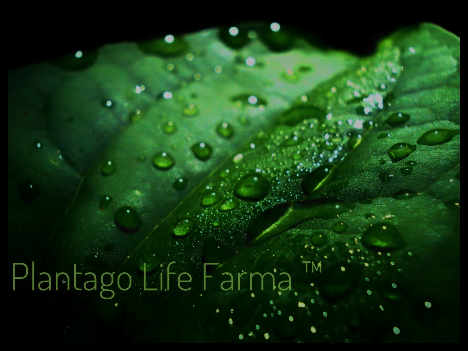 Аптечный бардак | Пикабу