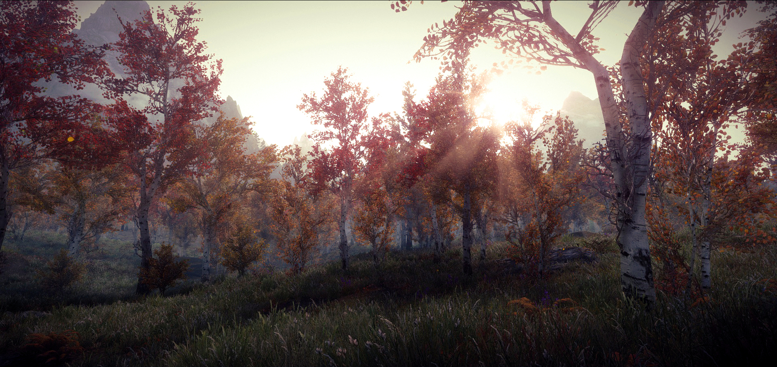 Start of the day in Skyrim - My, The Elder Scrolls V: Skyrim, Games, beauty