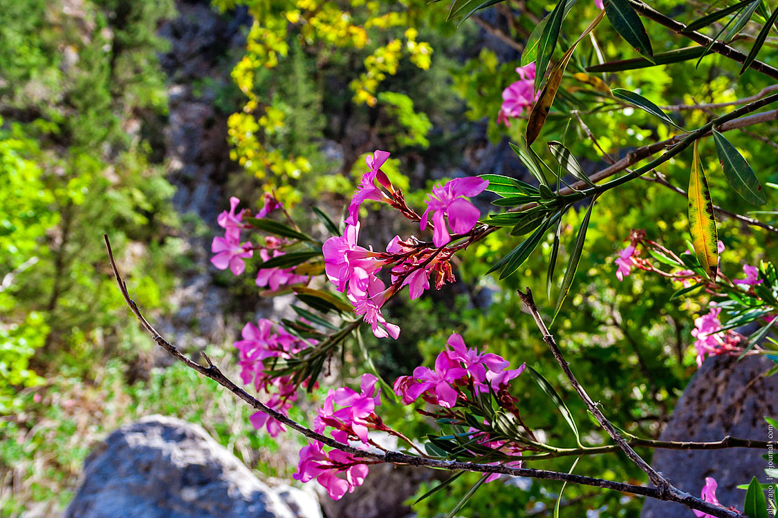 Elven path. - My, Travels, The photo, Tourism, Wild tourism, Hiking, The mountains, Longpost