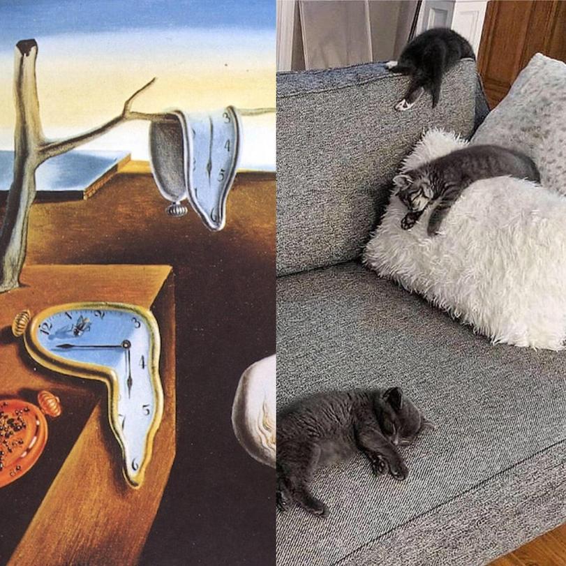 La persistencia de la memoria - Salvador Dali, Allegory, Surrealism, cat, The Persistence of Memory