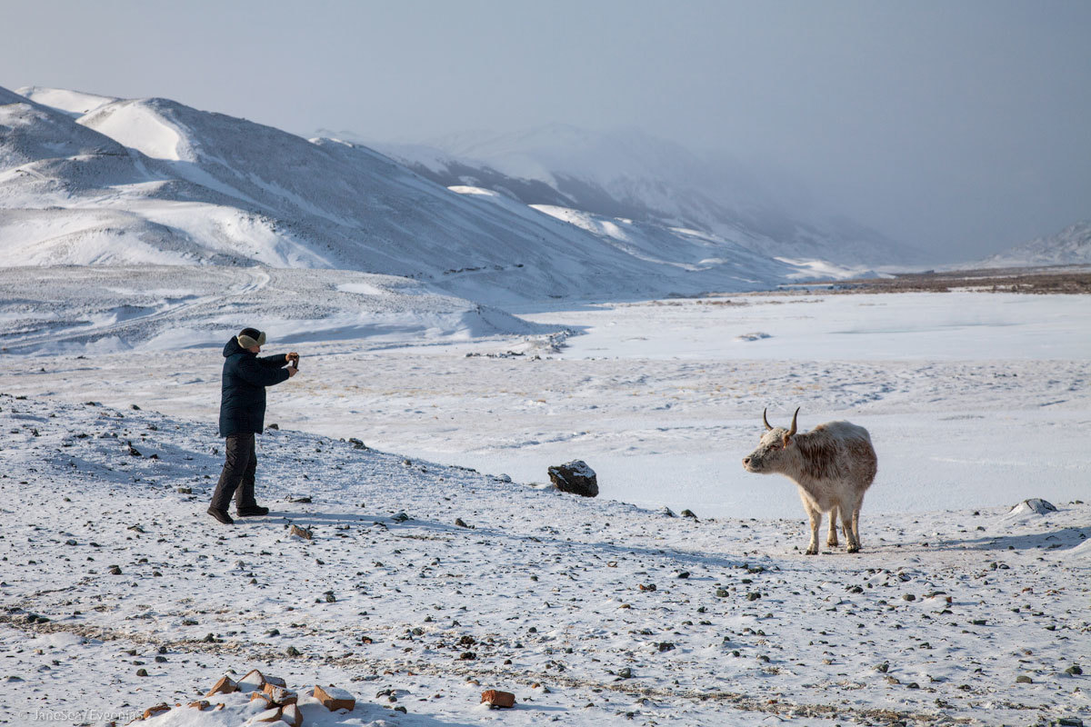 Winter at the border - Day 4 - My, Altai, Mountain Altai, Winter, Russia, Travel across Russia, Travels, Chui Valley, The mountains, Longpost, Altai Republic