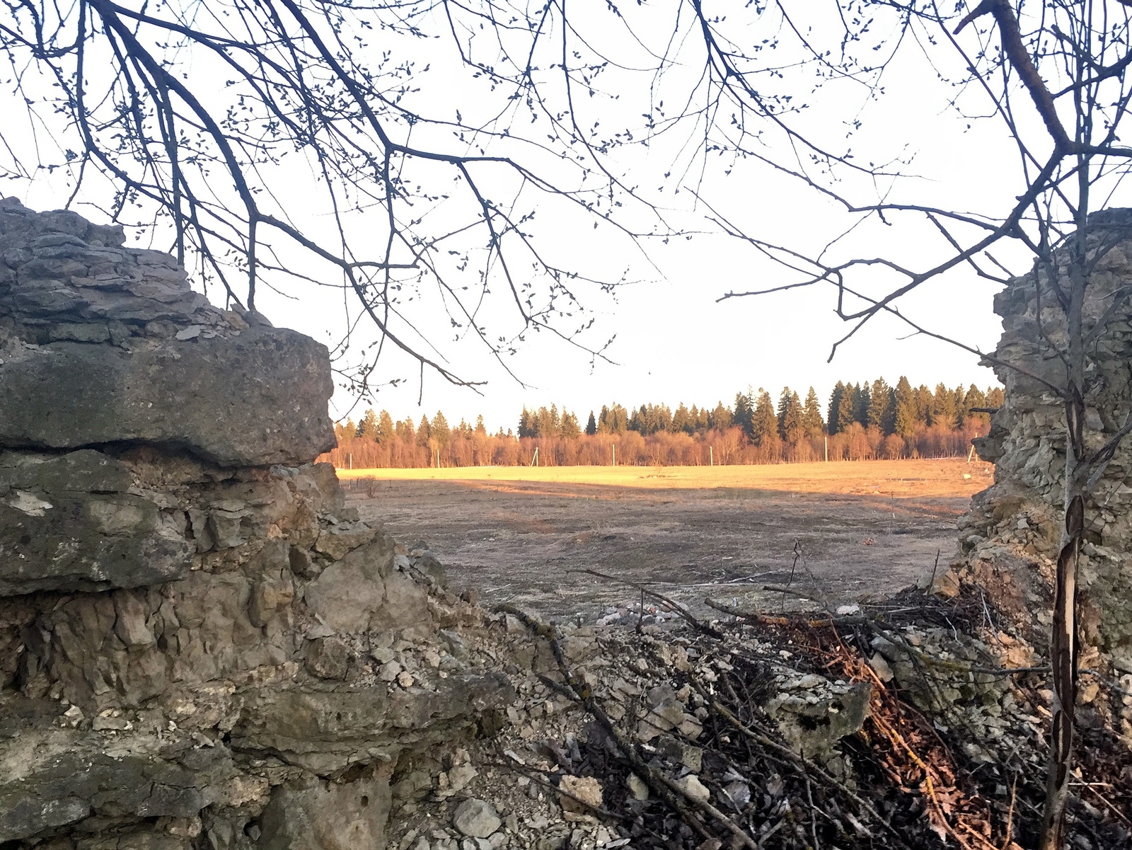 Fossils were laid in the foundation of the house. It was discovered when the dwelling turned into ruins. - Fossil, Trilobites, Paleontology, Leningrad region, , The photo, Longpost