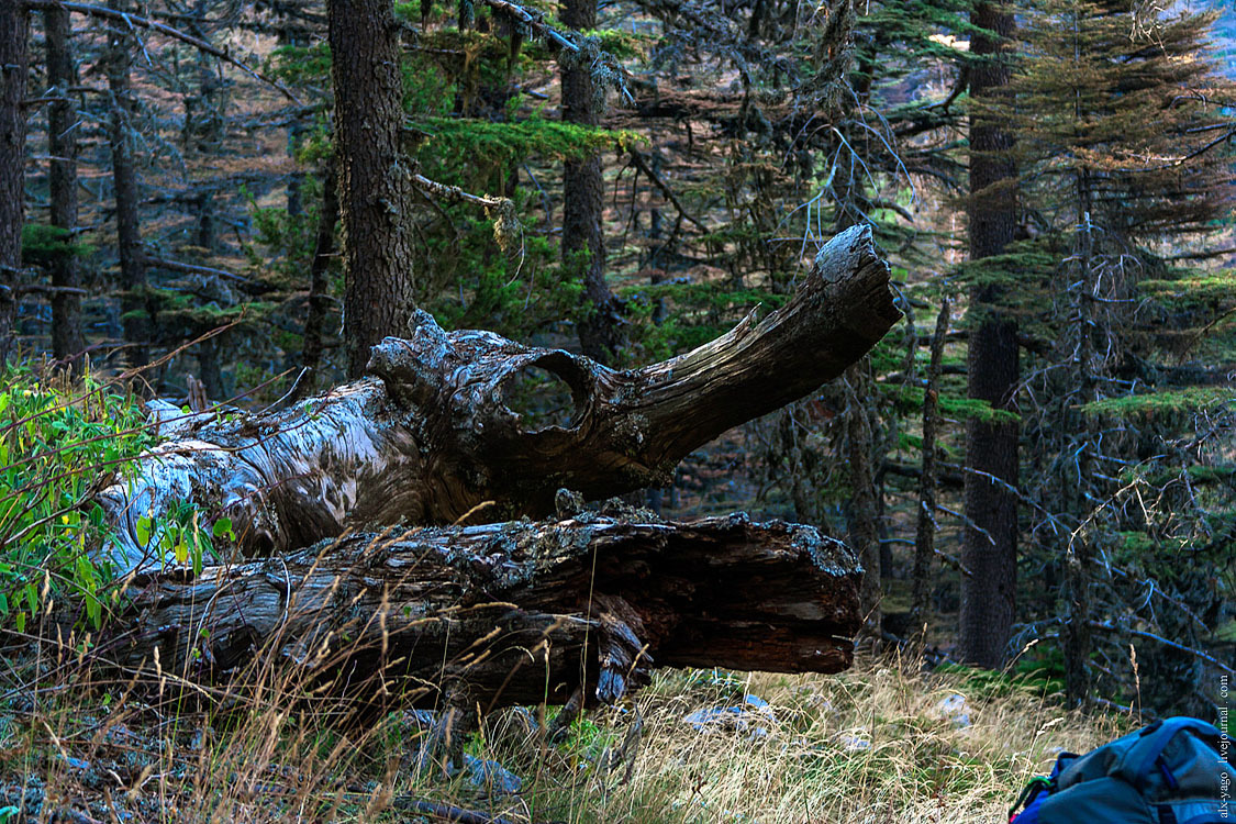 Elven path. - My, Travels, The photo, Tourism, Wild tourism, Hiking, The mountains, Longpost