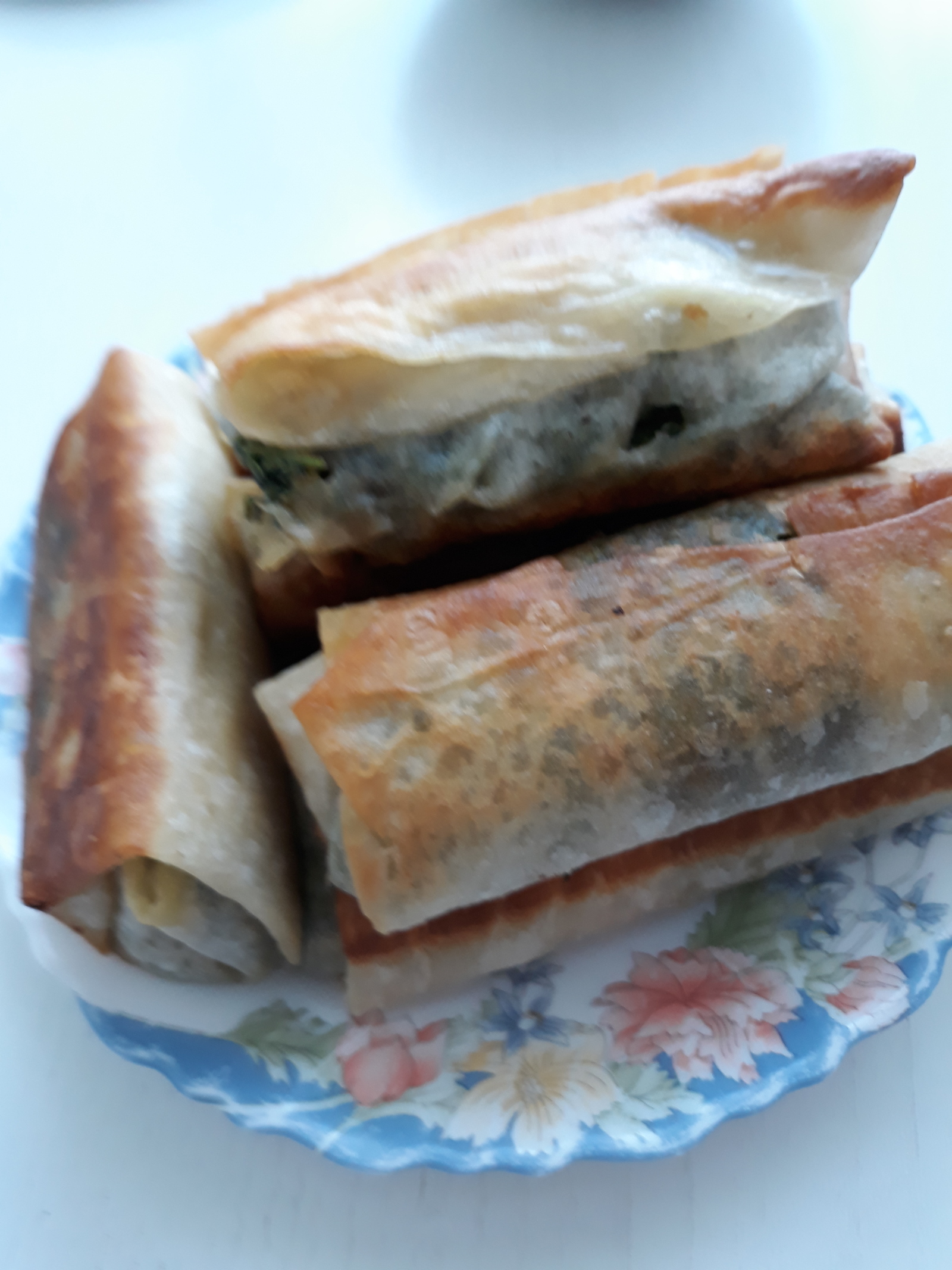 Nettle spring rolls - My, Nettle, Pasture, Food, Fancy food, Longpost