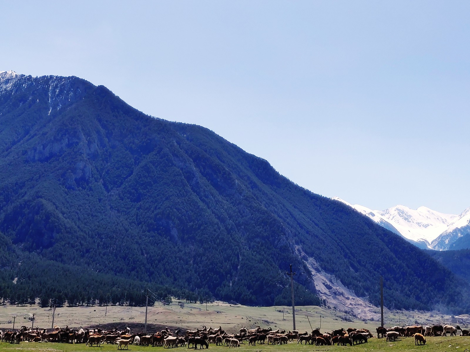 Dombay. KChR. - My, The mountains, Karachay-Cherkessia, Dombay, Longpost